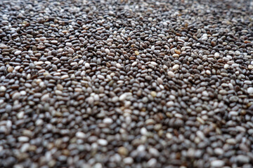 Raw soya beans background with blur effect close-up.