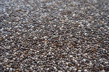 Raw soya beans background with blur effect close-up.