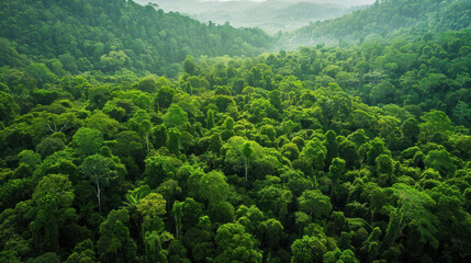 A reforestation project aimed at restoring biodiversity, with diverse flora and fauna returning to a once-depleted environment