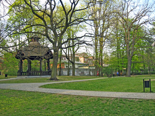 beautiful park with nice promenade path and big green trees. City park