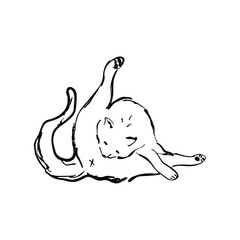 Hand drawn doodle of a cat licking itself. Vector hand made drawing isolated on white background.