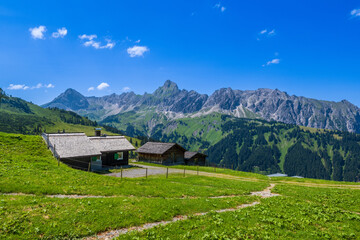 Obraz premium Alm on the Golm with Zimba mountain in the background, Montafon Valley, State of Vorarlberg, Austria
