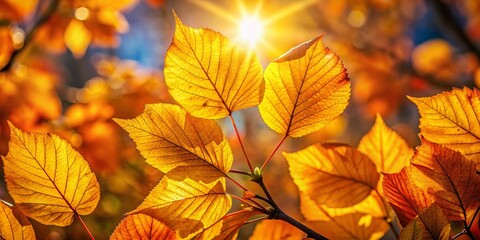 Glimmering Golden Leaves in Autumn Sunlight Creating a Breathtaking Natural Landscape Scene