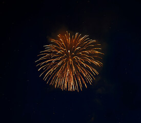 Fototapeta premium fireworks in the night sky