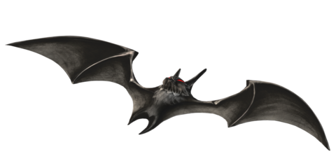 Scary Spooky Bat isolated on a Transparent Background