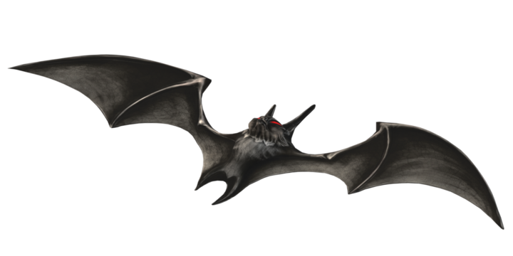 Scary Spooky Bat isolated on a Transparent Background