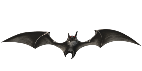 Scary Spooky Bat isolated on a Transparent Background