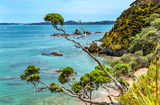 Tapeka Beach, Russell, North Island, New Zealand, Oceania.
