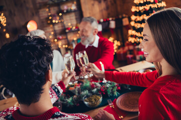 Portrait of big full friendly family clink champagne glass celebrate christmas dinner tree lights apartment indoors