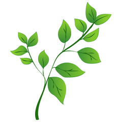 A green leafy branch with detailed leaves, presented in a vibrant graphic style, against a white background. Vector illustration