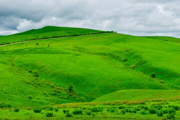 Picturesque green hills in cloudy weather. Caucasus