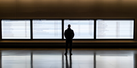 Fototapeta premium Back view of alone person stand before large screens displaying flight information in an airport. A lonely journey