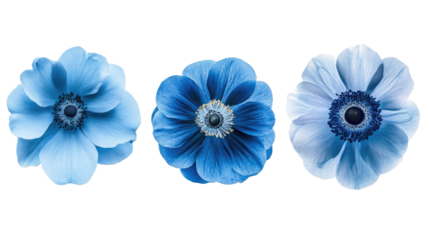 Isolated Collection of Blue Flowers on a White Background Generative AI