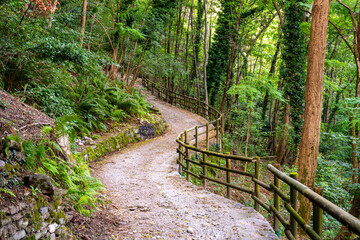 The winding trail of the Sentiero del Viandante offers hikers a serene experience through lush...
