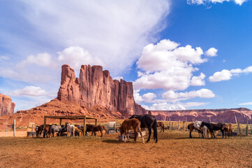 In the Monument valley Navajo tribal park,Utah,Arizona,USA.