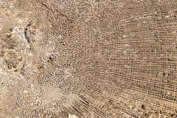 Bonaire, treasure of the Carribean © Marly