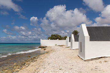 Bonaire, treasure of the Carribean