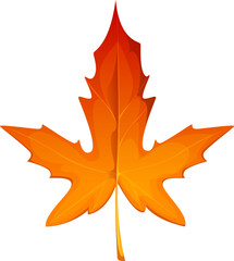 Cartoon autumn maple leaf, showcasing rich vibrant orange and red hues, captures the essence of fall, evoking feelings of seasonal warmth and nostalgia, highlighting the transition of autumnal nature