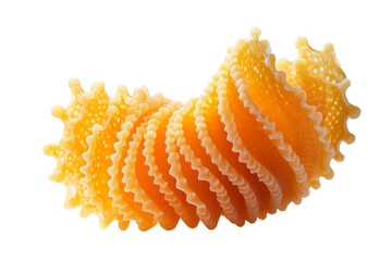 Vibrant orange seashells arranged elegantly against a white background, showcasing their unique ruffled patterns.