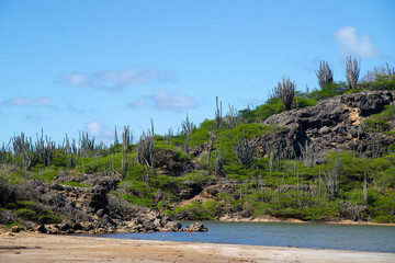 Bonaire, treasure of the Carribean