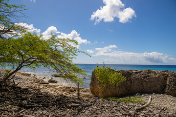 Bonaire, treasure of the Carribean