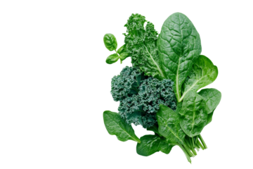 Fresh, vibrant leafy greens including kale and spinach, isolated on a white background.