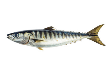 Naklejka premium Fresh fish isolated on a white background, showcasing its natural colors and details.
