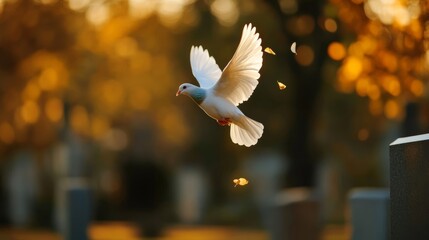 A single dove flying away from a gravesite surrounded by autumn trees, representing peace and farewell, funeral symbolism 