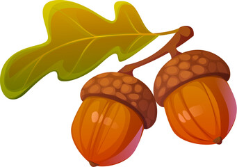 Cartoon autumn acorns attached to a green oak leaf, small, nut-like brown seeds from oak trees, feature a cap. Isolated vector fallen forest foliage, woodland plant, symbolizes growth, cycle of life © Vector Tradition