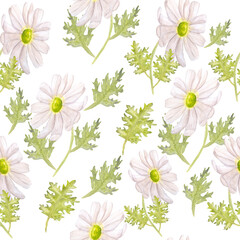 green leaf and chamomile seamless pattern watercolor illustration isolated on white background base for design of postcards textile tableware wedding invitations