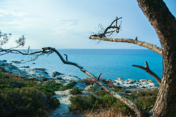 beautiful sea in greece on nature background
