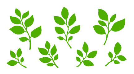 Beautiful Leaves Set - Green Leaves branches, hand drawn.