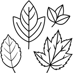 black and white leaves