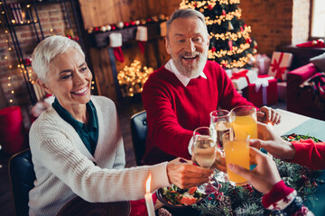 Portrait of big family people hold champagne juice glass clink celebrate christmas dinner apartment indoors