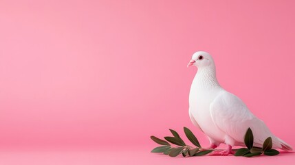 Obraz premium Isolated white dove with olive branch over soft pastel gradient background representing peace and Christmas 