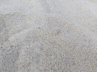 sand texture background with crab