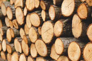 Background of a pile of pieces of wood. 