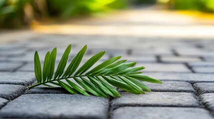 Palm fronds lying on a stone path, symbolizing Jesus' triumphal entry, Palm Sunday theme 