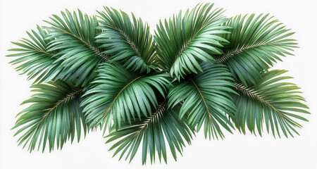 Lush Green Tropical Palm Leaves top view