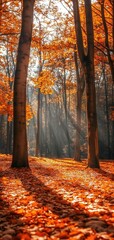Vibrant autumn forest with sunlight filtering through colorful leaves showcasing calming vibes for smartphone wallpaper