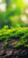 Close-up of vibrant green moss growing on tree bark with soft sunlight filtering through a lush forest