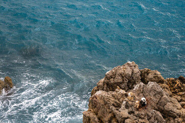 waves crashing on rocks and toys