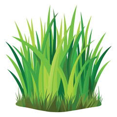Fototapeta premium Grass vector illustration