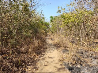 jalapão paisagens de tirar o folego