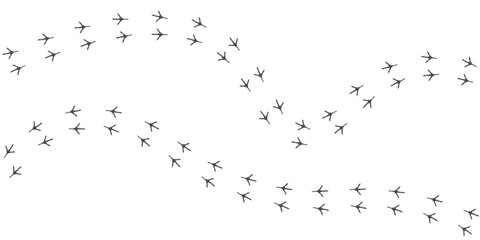 Vector trail print of bird isolated on white background.  Footprint silhouette tracks of sparrow. Paw Print. Vector illustration. EPS10.

