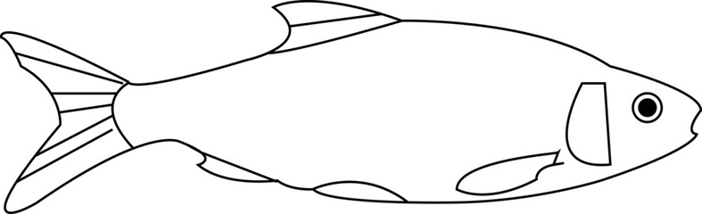 Obraz premium fish vector