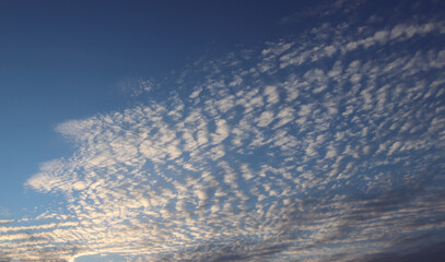 The unusual clouds in the evening blue sky.