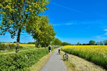 Radweg in Norddeutschland bei Kiel