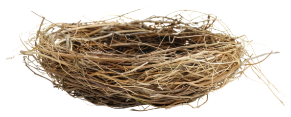 PNG Natural bird nest isolated background