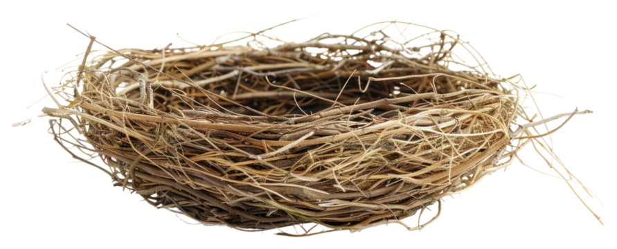 PNG Natural bird nest isolated background